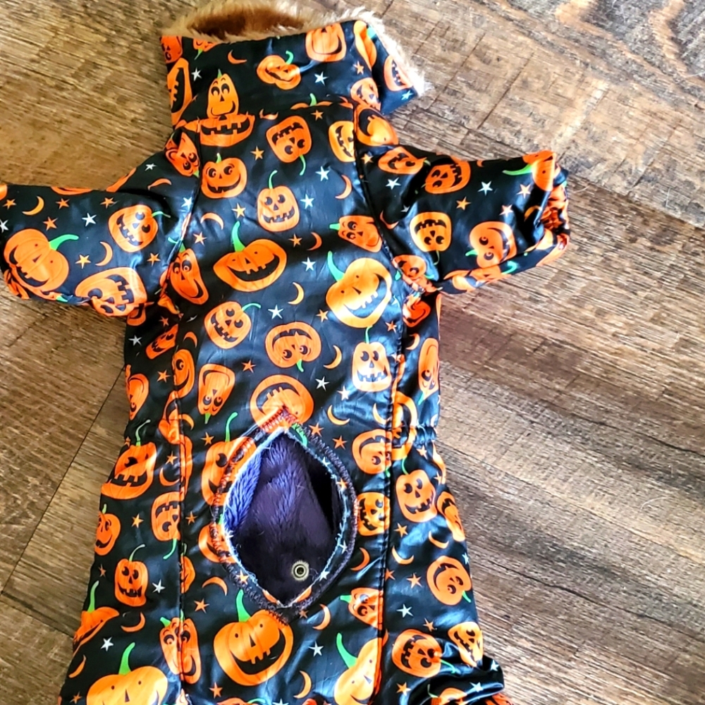 Halloween Pumpkin Dog Jacket